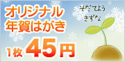 45�ߥ��ꥸ�ʥ�ǯ��Ϥ���