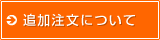 �ɲ���ʸ�ˤĤ���