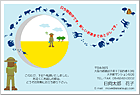 ���ۤ��Ϥ��� HN-008