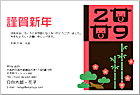 ǯ���