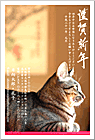 ǯ���