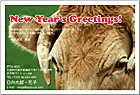 ǯ���