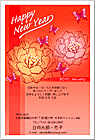 ǯ��� NC-100132