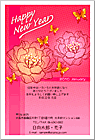 ǯ��� NC-100134