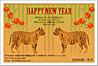 ǯ��� NC-100163