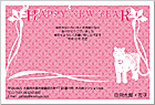 ǯ��� NC-100172