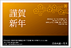 ǯ��� NC-100183