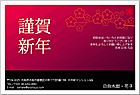 ǯ��� NC-100184