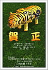ǯ��� NC-100347