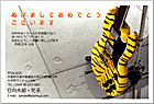 ǯ��� NC-100365