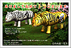 ǯ��� NC-100372