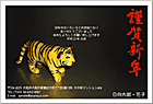 ǯ��� NC-100383
