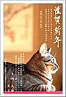 ǯ��� NC-100397