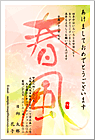 ǯ��� NC-100427