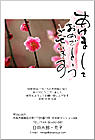 ǯ��� NC-100451