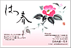 ǯ��� NC-100458
