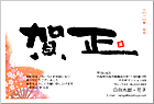 ǯ��� NC-100485