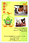 ǯ��� NP-100600