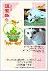 ǯ��� NP-100601