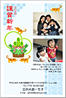 ǯ��� NP-100602