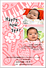 ǯ��� NP-100652