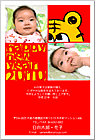 ǯ��� NP-100656
