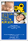 ǯ��� NP-100657