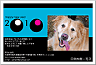 ǯ��� NP-100667