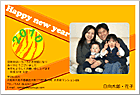 ǯ��� NP-100671