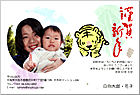 ǯ��� NP-100676