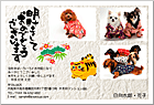 ǯ��� NP-100678