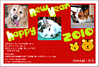 ǯ��� NP-100679