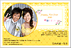 ǯ��� NP-100691