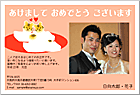 ǯ��� NP-100703