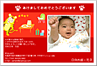 ǯ��� NP-100704