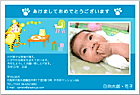 ǯ��� NP-100705