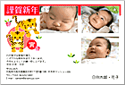 ǯ��� NP-100707