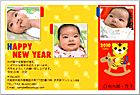 ǯ��� NP-100712