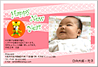 ǯ��� NP-100714