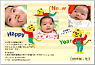ǯ��� NP-100718