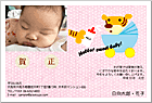 ǯ��� NP-100722