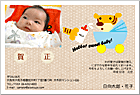 ǯ��� NP-100724