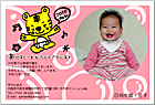 ǯ��� NP-100729