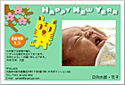 ǯ��� NP-100730