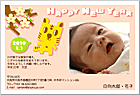 ǯ��� NP-100731