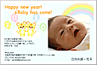 ǯ��� NP-100733