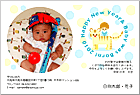 ǯ��� NP-100735