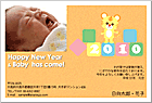 ǯ��� NP-100738