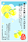 ���渫�񤤤Ϥ��� SC-100034