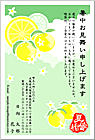 ���渫�񤤤Ϥ��� SC-100036